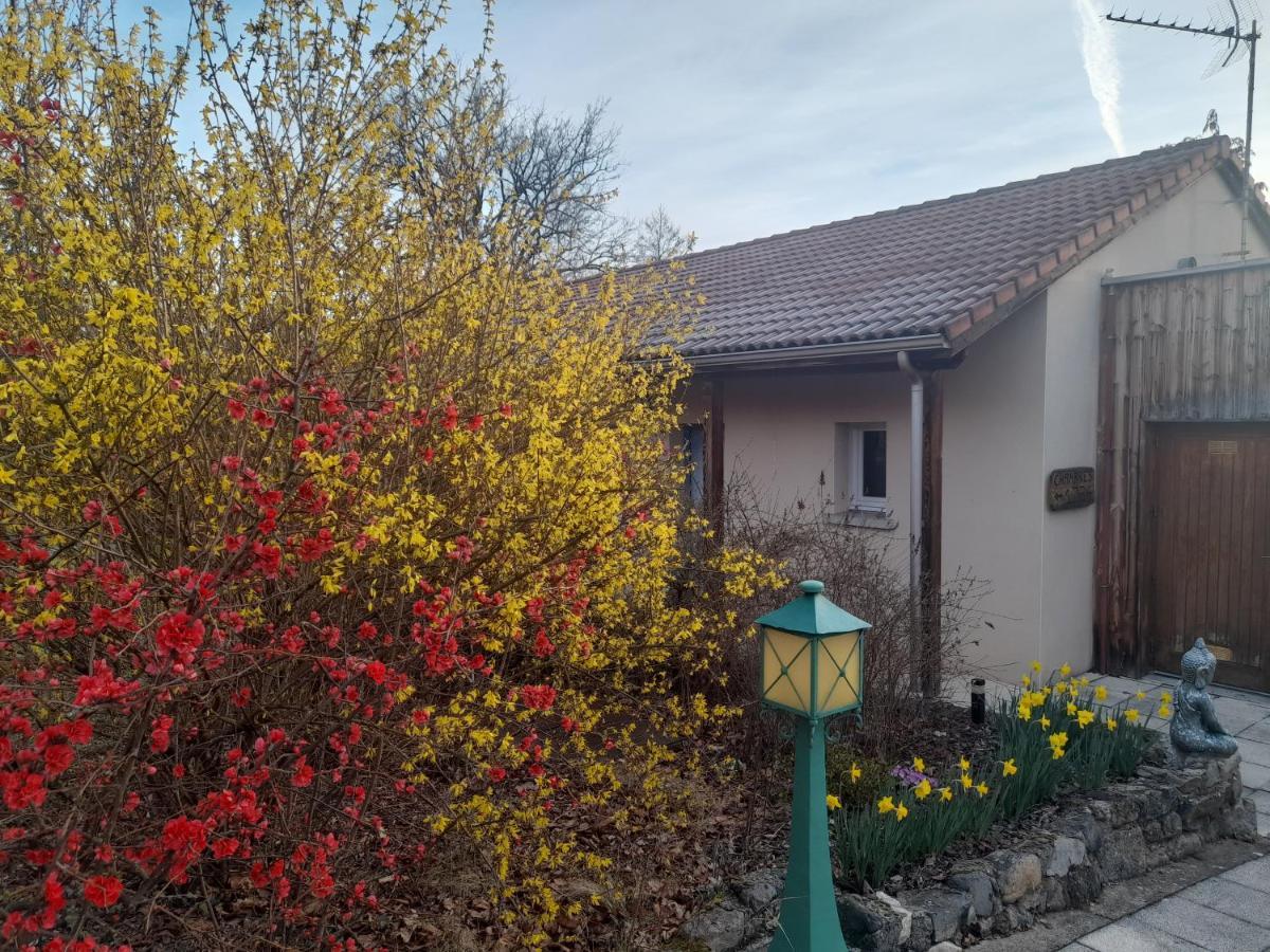 Hotel De L'Ile D'Amour Langeac ภายนอก รูปภาพ
